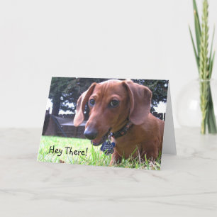 Dachshund Hälsningar Kort