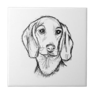 dachshund handritad skiss svart vit valp hund kakelplatta