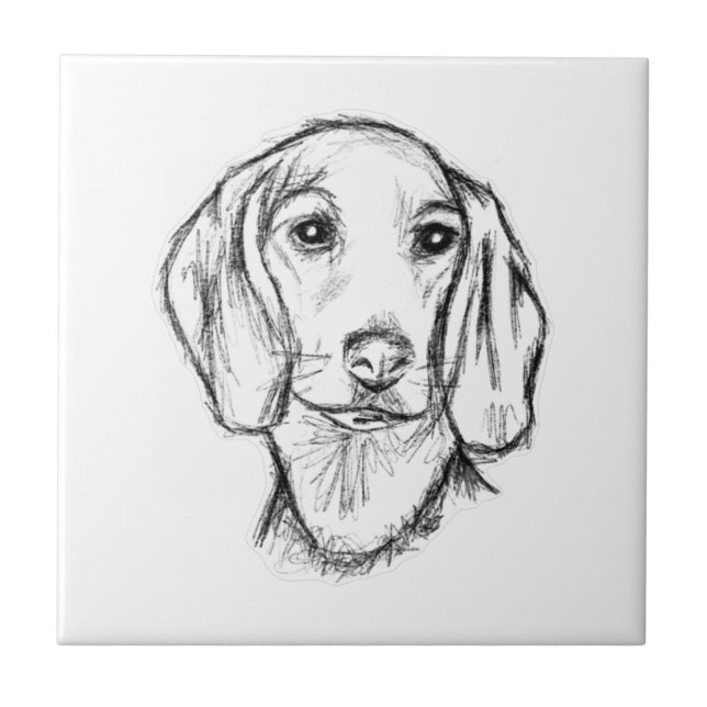 dachshund handritad skiss svart vit valp hund  kakelplatta (Framsidan)