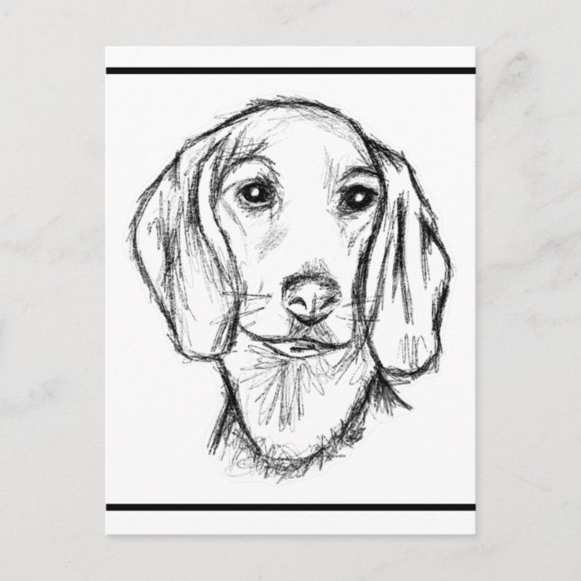 dachshund handritad skiss svart vit valp hund  vykort (Framsida)
