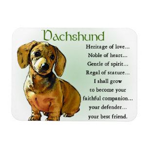 Dachshund Heritage of Kärlek Magnet