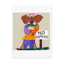 Dachshund Hippie vid skylt som förbjuder hippies