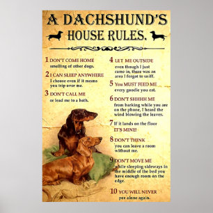 Dachshund House Regler Poster Gift för manar Women