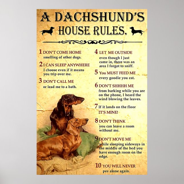 Dachshund House Regler Poster Gift för manar Women (Framsidan)