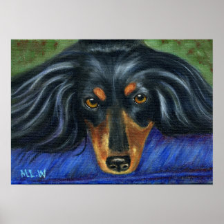 Dachshund Hund aveln Art - Hallie Poster