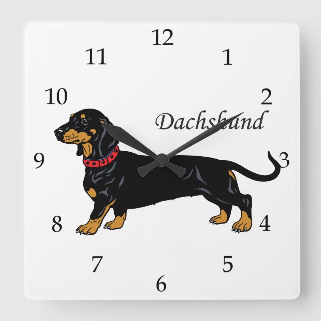 Dachshund Hund aveln Fyrkantig Klocka (Framsida)