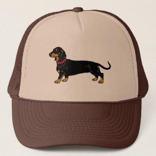 Dachshund Hund aveln Keps