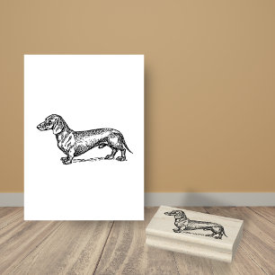 Dachshund Hund aveln Stämpel