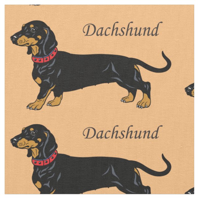 Dachshund Hund aveln Tyg (Närbild)