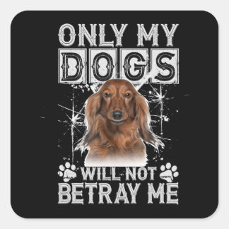 Dachshund Hund - ger mig inga gåvor Fyrkantigt Klistermärke