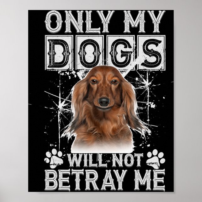 Dachshund Hund - ger mig inga gåvor Poster (Framsidan)