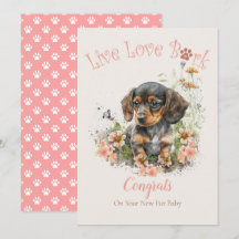 Dachshund-Hund, Gotcha-dagen