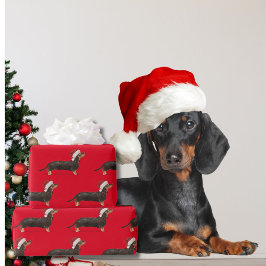 Dachshund Hund jul Red Santa Hat Presentpapper