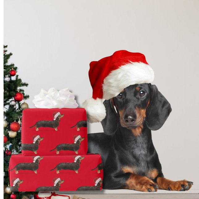 Dachshund Hund jul Red Santa Hat Presentpapper (Skapare uppladdad)