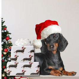 Dachshund Hund jultomten Hat Presentpapper