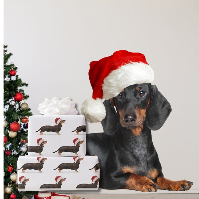 Dachshund Hund jultomten Hat Presentpapper (Skapare uppladdad)