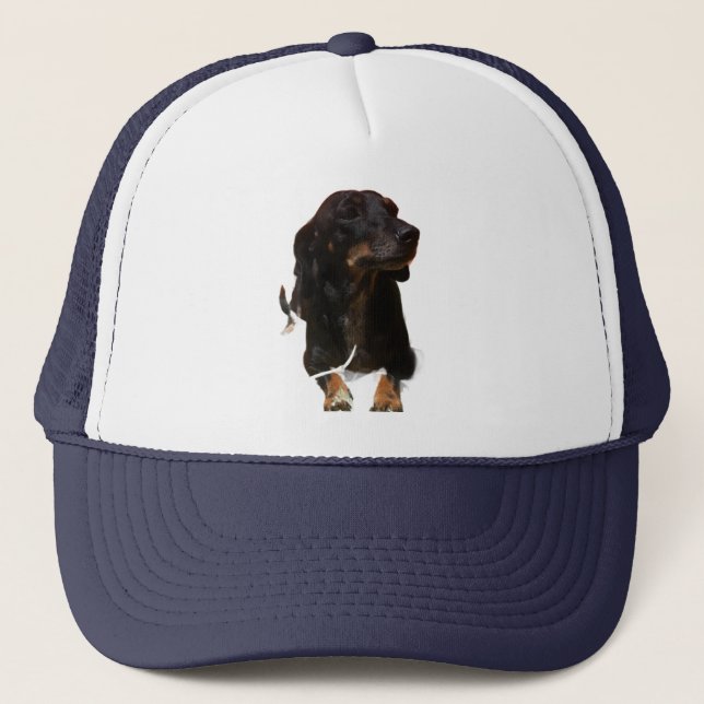 Dachshund Hund Keps (Framsida)