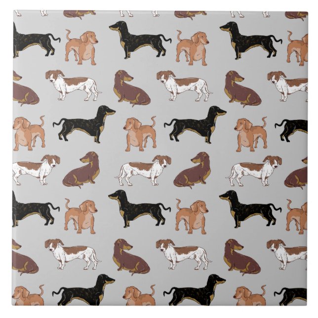 Dachshund hund mönster kakelplatta (Framsidan)