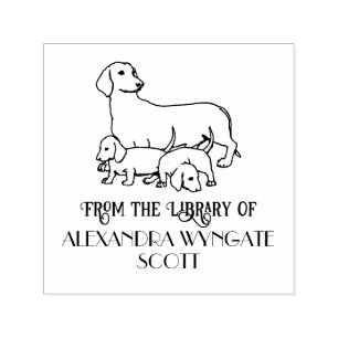 Dachshund Hund och Valpar Bibliotek Bok Namn Självfärgande Stämpel