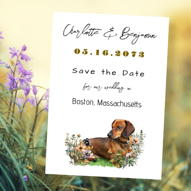 Dachshund Hund och Vilda Blommor Spara Datum Datumet (Skapare uppladdad)