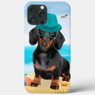 Dachshund hund på strand