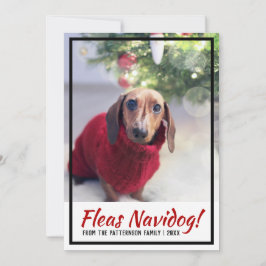 Dachshund Hund Photo Paw Skriv ut julklapp Julkort