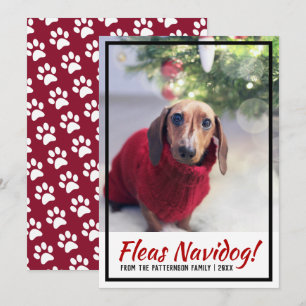 Dachshund Hund Photo Paw Skriv ut julklapp Julkort