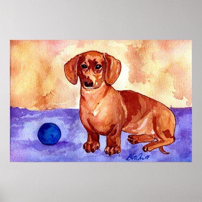 Dachshund Hund Porträtt Poster (Framsidan)