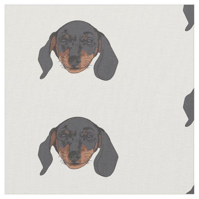 Dachshund hund Porträtt Tyg (Närbild)