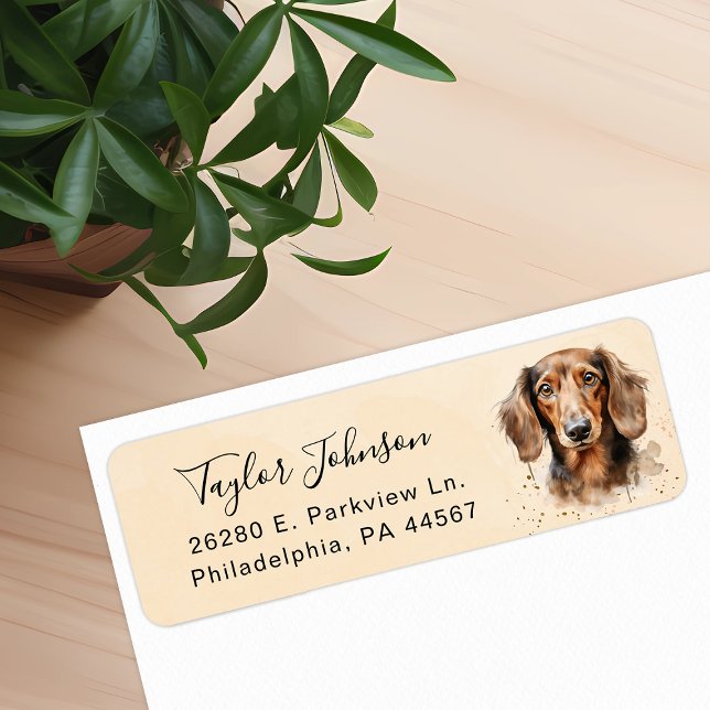 Dachshund Hund Returadressetikett Returadress Etikett (Skapare uppladdad)