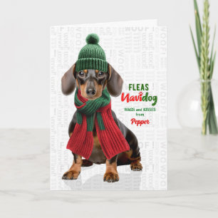 Dachshund Hund Roliga Loppor Navidog med Namn Helgkort