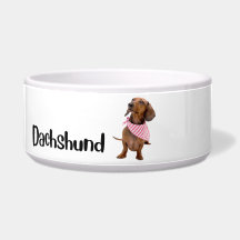 Dachshund - hund skål efter ras
