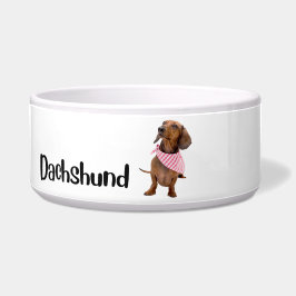 Dachshund - hund skål efter ras