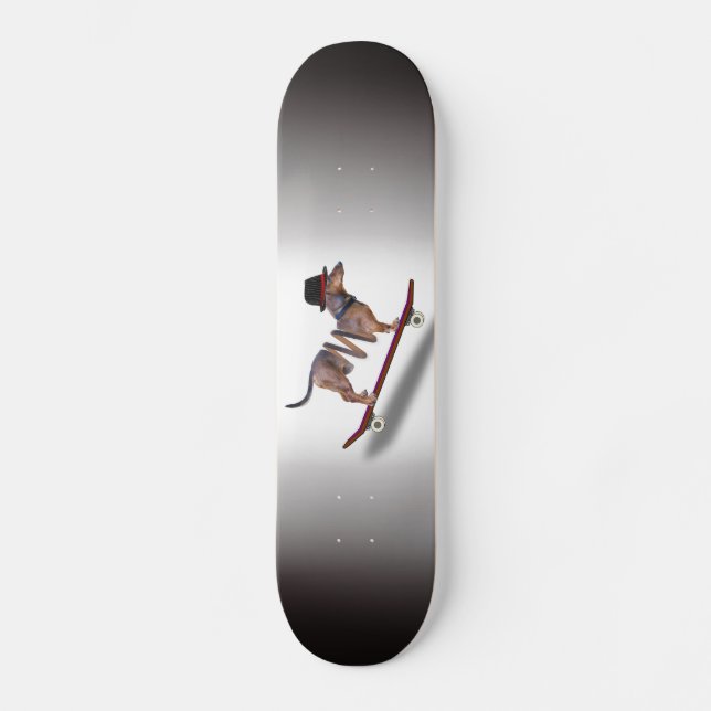 Dachshund Hund Skateboarder Skateboard Bräda 19,5 Cm (Framsida)