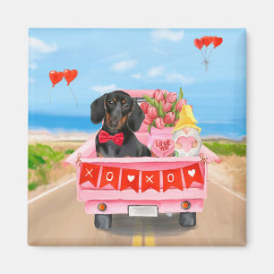 Dachshund Hund Valentine Day Lastbil Hearts Magnet