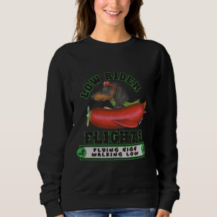 Dachshund Hundar Black Dachshund i Wiener Flygplan T Shirt