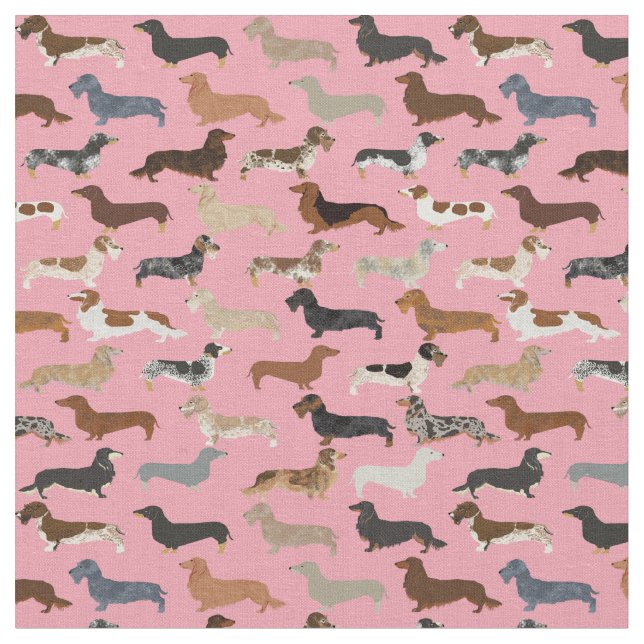 Dachshund hundar rosa tyg (Närbild)