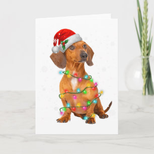 Dachshund Hundar Träd Jul Tröja Xmas Gåvor F Kort