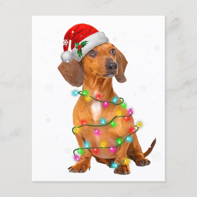 Dachshund Hundar Träd, julklappare, Julafton, gåvo Flygblad (Framsidan)