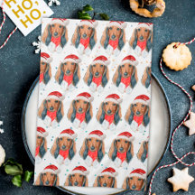 Dachshund Hundras Jul