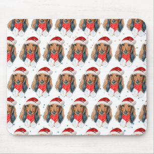 Dachshund Hundras Jul Musmatta