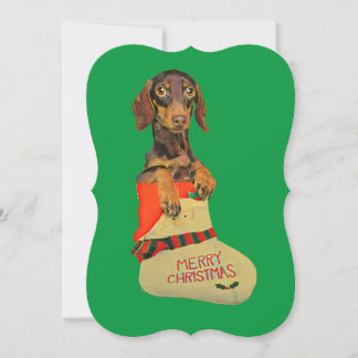 Dachshund i julklapp julkort