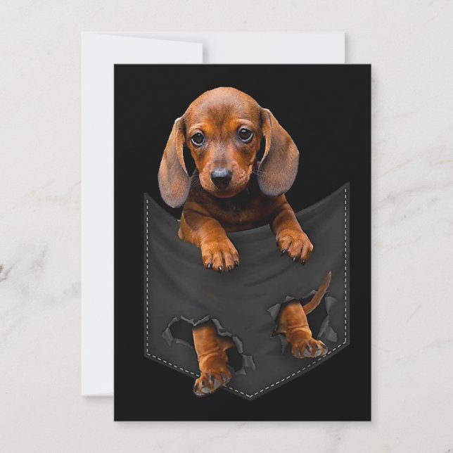 Dachshund I Min Ficka Dachshund Wiener Hund Presen Inbjudningar (Framsida)