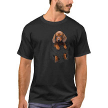 Dachshund i Pocket