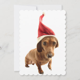 Dachshund i Santa hat Julkort