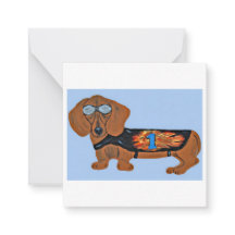 Dachshund i tävlingsjacka Platt Notkort