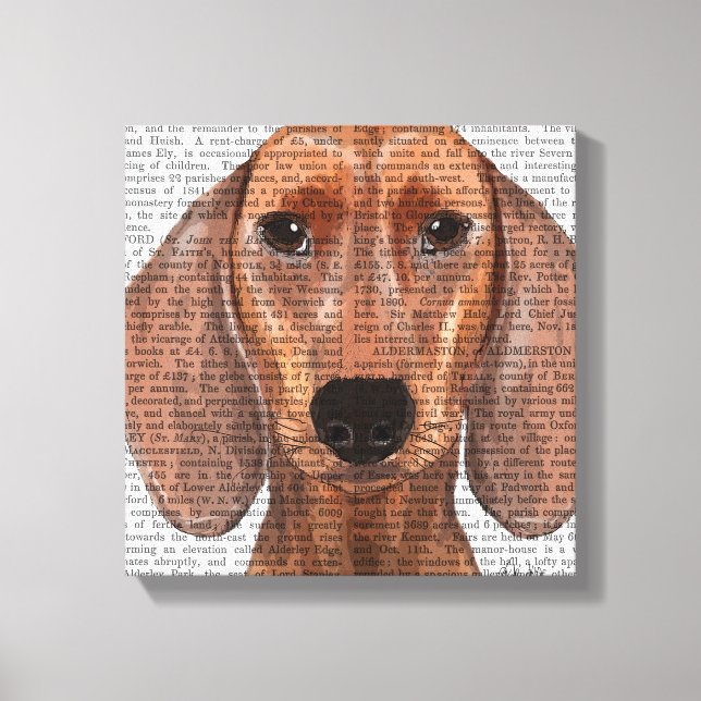 Dachshund Illustration Plain Canvastryck (Framsida)