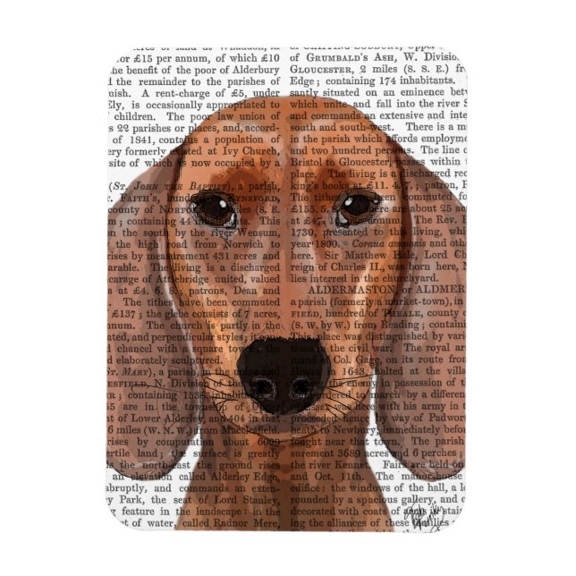 Dachshund Illustration Plain Magnet (Vertikal)