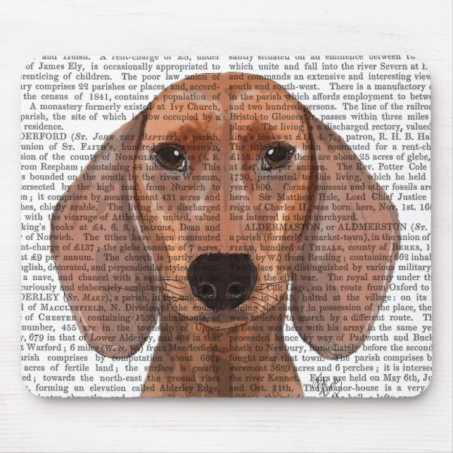 Dachshund Illustration Plain Musmatta (Framsidan)