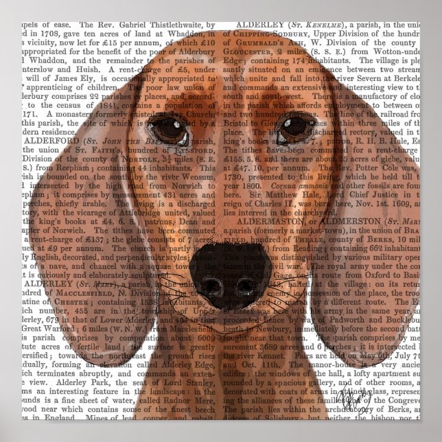 Dachshund Illustration Plain Poster (Framsidan)